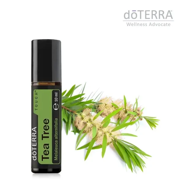 doTERRA Esenciálny olej, Tea Tree - čajovník, 15 ml